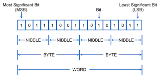 Binary People Learning Your 1s And 0s