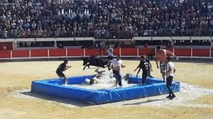 grau du roi toro piscine 2016 09 10 taureaux vl youtube
