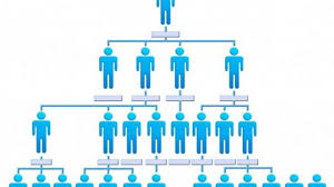 Startup Organizational Structure Which Is Better