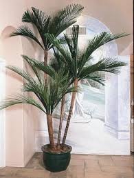Besides good quality brands, you'll also find plenty of discounts when you shop for big fake plant during big sales. Pin On Beautiful