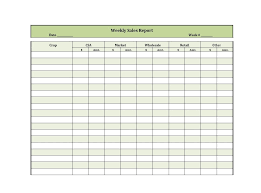 I keep track of charges on our credit cards on an excel sheet and either attribute charges. 45 Sales Report Templates Daily Weekly Monthly Salesman Reports