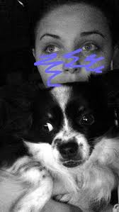 Lost grey/blue Afghan hound near Bethel Church