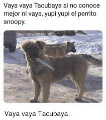 Vaya Vaya Tacubaya Si No Conoce Mejor Ni Vaya Yupi Yupi El Perrito Snoopy Vaya Vaya Tacubaya Meme On Me Me