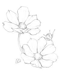 1,302 free images of watercolor flowers. Flower Drawings Inktober 2018 Roundup Blushed Design