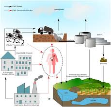 Research on two kinds of pfas forms the basis of our scientific understanding about this group of chemicals. A Review On The Sources Occurrence And Health Risks Of Per Poly Fluoroalkyl Substances Pfas Arising From The Manufacture And Disposal Of Electric And Electronic Products Sciencedirect
