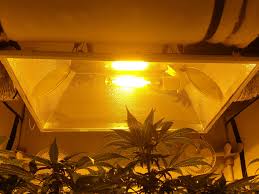 Check spelling or type a new query. Using Light Efficiently Dr Photon S Corner Coco For Cannabis Forum