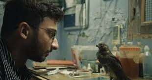 Picanha Cultural: fevereiro 2023