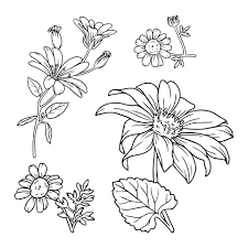 Some of the technologies we use are necessary for critical functions like security and site integrity, account authentication, security and privacy preferences, internal site usage and maintenance data, and to make the site work correctly for browsing and transactions. 7 Best Printable Flower Patterns Wood Printablee Com