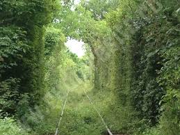 Enter your dates and choose from 144 hotels and other places to stay. Foto Video Tunelul Dragostei Din Caras Severin Un Obiectiv De VacanÅ£Äƒ De Neratat In AceastÄƒ VarÄƒ Radio Romania ReÈ™iÈ›a