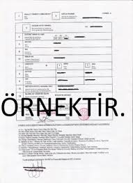 Uluslararasi Dogum Kayit Ornegi Formul A Basvurusu Nasil Yapilir E Konsolosluk Randevu