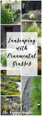 Maybe you would like to learn more about one of these? Landscaping With Ornamental Grasses The Happy Housie