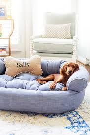 Pizzazzerie S New Pup Enjoys Frontgate S Comfy Couch Pet Bed In Denim Comfy Couch Pet Bed Couch Pet Bed Cute Dog Beds