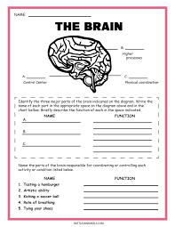 Each of these meals is missing something! Free Science Worksheets The Nervous System Adanna Dill