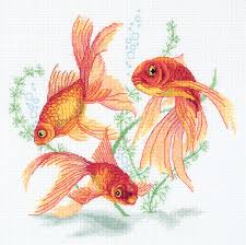 Free download colours & lights by goldfish with very high bit rate (320 kbps mp3 and up to 1411 kbps flac) only on flacless. Panna Goldfish Cross Stitch Kit 123stitch