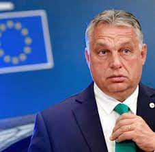 The views belong to the writer. Viktor Orban Befurchte Wahleinmischung Von Internationaler Linke Welt