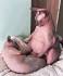 Sphynx Cats — 5 Things to Know About Living With Hairless ...