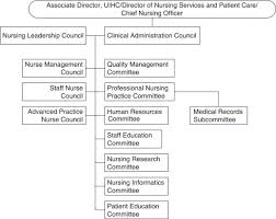 Example of nursing exemplar which demonstrates insightful and reflective thinking. Excellence In Evidence Based Practice Organizational And Unit Exemplars Critical Care Nursing Clinics