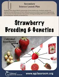 High School Science Lesson Plan Where Students Extract Dna From Strawberries And Lear High School Science Lesson Plans High School Science Science Lesson Plans