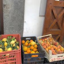 Pin By Hanna Bocek Chute On Italia In 2021 Aesthetic Food Summer Aesthetic Fruit