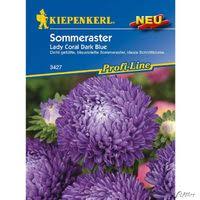 Goji beere) kann man hier online bestellen. Garten Schluter Pflanzenversand Auf Blumen De