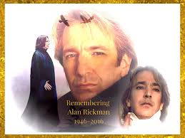 The tragic cycle of Harry Potter's life in eight heartbreaking panels. 💔"