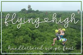 The license information stated by the members is usually correct but we cannot guarantee it. Flying High A Handlettered Script Font 347730 Monoline Font Bundles