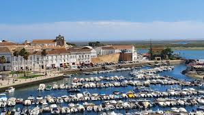 Image result for Faroa duvigneaud