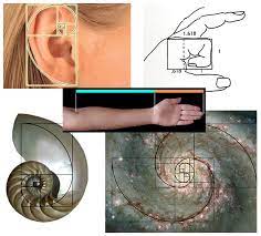 Media geometrica sau media proportionala a doua numere nenegative este egala cu radacina patrata din produsul lor: Media Geometrica A Doua Numere Reale Pozitive