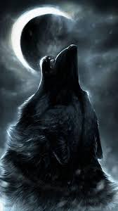 Wolf hd wallpapers backgrounds wallpaper 1920×1080. Cool Wolf Iphone X Wallpaper Hd 2021 Phone Wallpaper Hd
