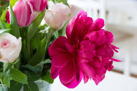 Flowers and gifts uganda kampala. Flowers Kampala Uganda Ugabox Com