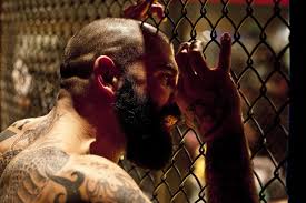 This week, we cover the ufc's strawweight title picture, a potential matchup between nate diaz and vicente luque, and the recent domestic violence incidents involving mma fighters. Are You A True Fanatic Of Ufc My Father Couldn T Answer The First Question