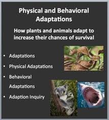 Physical Behavioral Adaptations Increasing An Organisms Chances Of Survival Science Lessons High School Physics Physical Adaptations