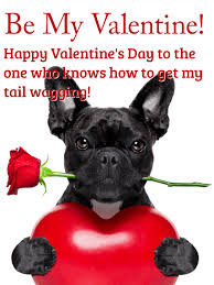 Download french bulldogs valentines day png image for free. Make My Tail Get Wagging Happy Valentine S Day Card Birthday Greeting Cards By Davia
