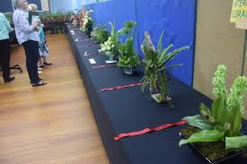 We did not find results for: Nature S Finery On Show The Examiner Launceston Tas