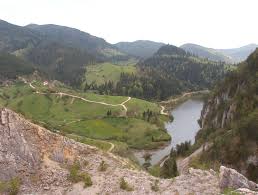 U celosti do polaska na put. Nacionalni Park Tara Wikipedija