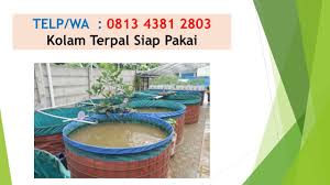 Penjual Terpal Kolam Penjual Terpal Kolam Di Surabaya Penjual Terpal Kolam Ikan Penjual Terpal Kolam Lele Penjual Terpal Kolam Ik Kolam Ikan Kolam Surabaya