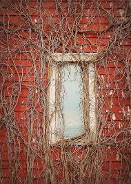 Corner Of Wood And Vine By Karen Cook Vines Fine Art America Wall Art