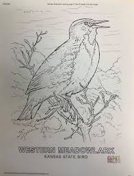 Maybe you would like to learn more about one of these? Emporia Zoo Celebrate Kansas Day With These Coloring Pages Facebook