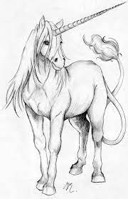 unicorn by maryi dessin licorne chien coloriage advencher gratuit