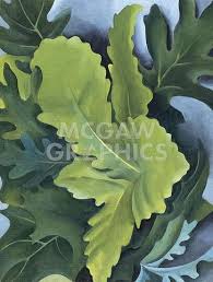 Green Oak Leaves 1923 Georgia O Keefe Art Georgia O Keeffe Georgia O Keeffe Paintings