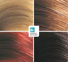 Light Brown Hair Color Chart Wella Bedowntowndaytona Com