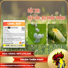 Caral 95SP