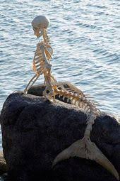 Super Neat Mermaid Skeleton Skull Wallpaper Halloween Props
