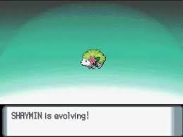 shaymin evolving into shaymin