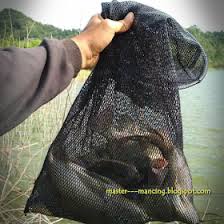Ikan nila juga dapat dengan mudah memijah secara. Master Mancing Jurus Mancing Nila Liar Di Sungai Jamin Ampuh