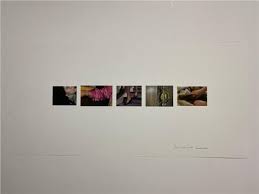 Bildergebnis für Robert Devriendt