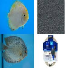 Pin On Gravel And Tank Cleaners