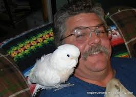 Can you create a framable photo edit of my deceased pet?