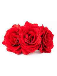 Resultado de imagen para rosas pequeÃ±as