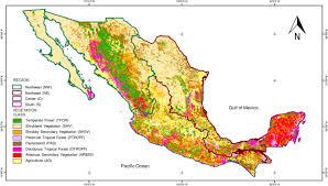 A crater of fire engulfed the gulf of mexico on friday after an underwater pipeline ruptured. Temporal Patterns Of Active Fire Density And Its Relationship With A Satellite Fuel Greenness Index By Vegetation Type And Region In Mexico During 2003 2014 Fire Ecology Full Text